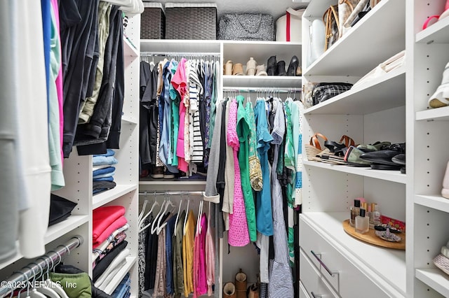 4342 Richmond Park Dr E, Jacksonville, FL 32224 - view of spacious closet