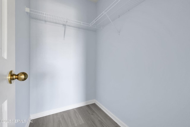 212 Northbridge Ct, Saint Johns, FL 32259 - spacious closet with wood finished floors