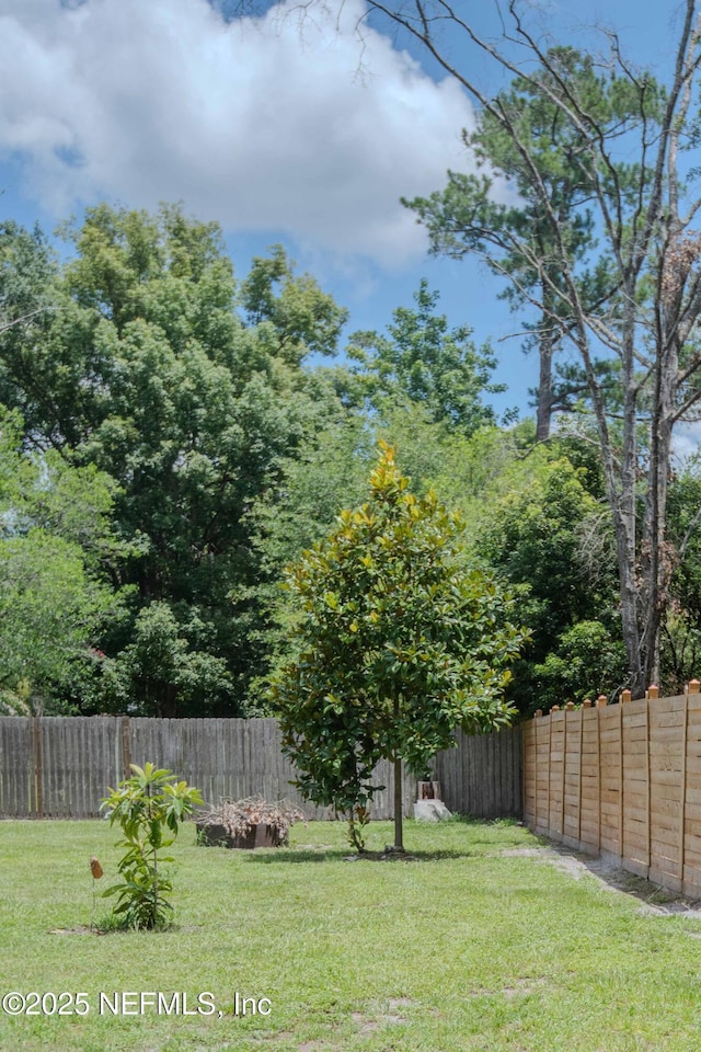 8079 Sarcee Trl, Jacksonville, FL 32244 - photo 32
