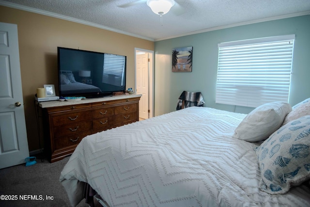 8079 Sarcee Trl, Jacksonville, FL 32244 - photo 12
