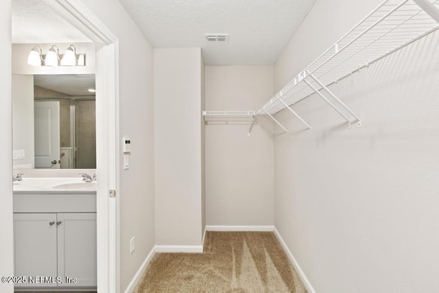 230 Starnberg Ct, Saint Augustine, FL 32095 - photo 24
