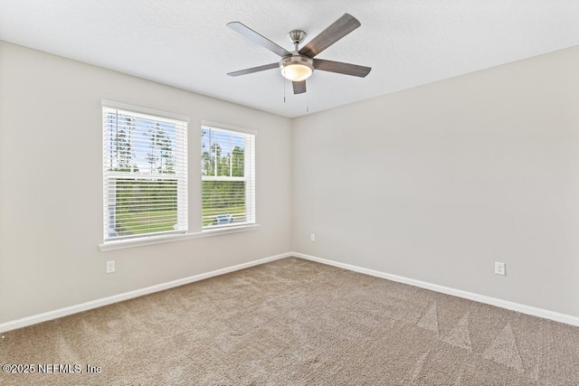 230 Starnberg Ct, Saint Augustine, FL 32095 - photo 27