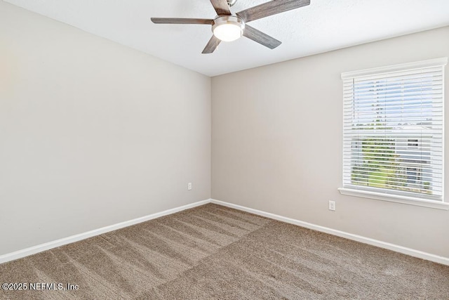 230 Starnberg Ct, Saint Augustine, FL 32095 - photo 30