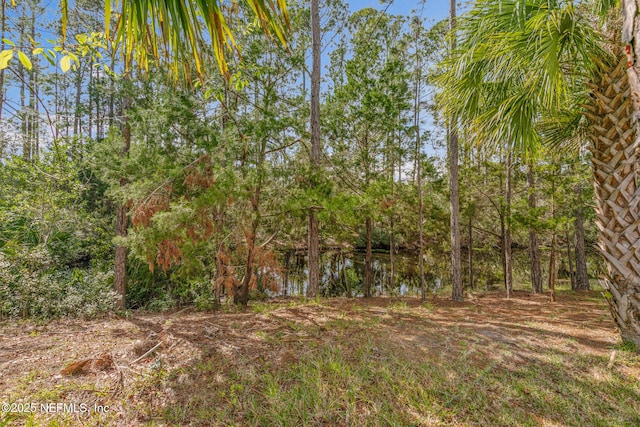 38 Sea Breeze Trl, Palm Coast, FL 32164 - photo 60