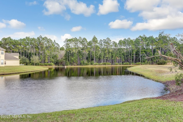 94954 Colnago Ct, Fernandina Beach, FL 32034 - water view with a forest