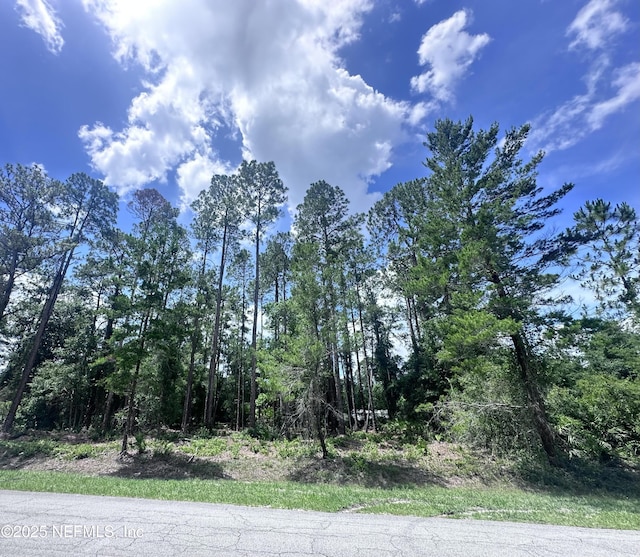 107 Georgetown Point Rd, Georgetown, FL 32139