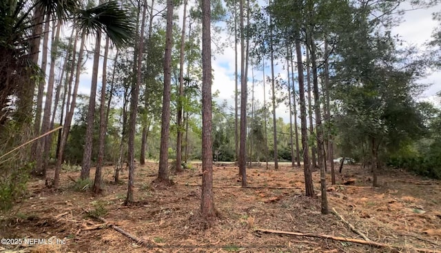 107 Georgetown Point Rd, Georgetown, FL 32139