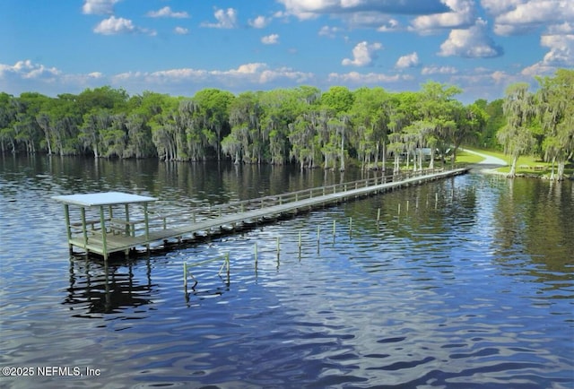 107 Georgetown Point Rd, Georgetown, FL 32139