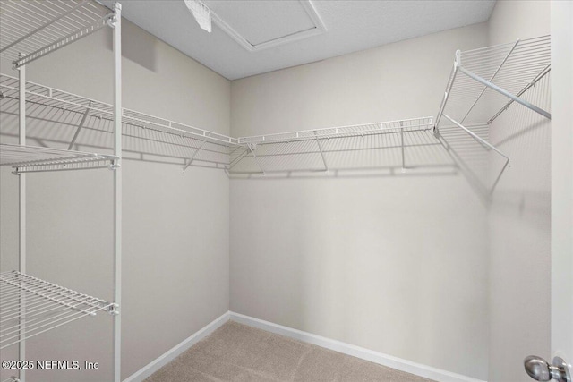 1651 Pottsburg Point Dr, Jacksonville, FL 32207 - photo 21