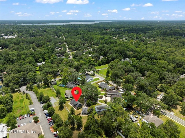 406 Silver Wing Cir, Orange Park, FL 32073 - photo 44