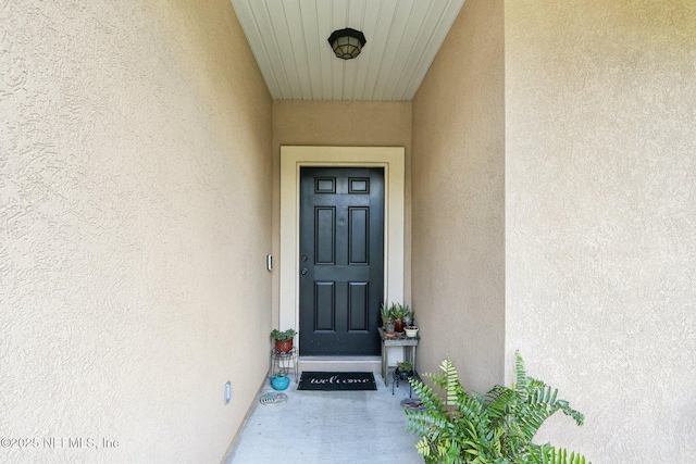 2947 Vianey Pl, Green Cove Springs, FL 32043 - entrance to property with stucco siding