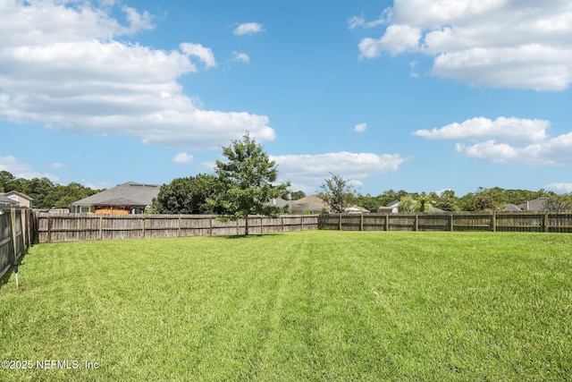 2947 Vianey Pl, Green Cove Springs, FL 32043 - view of fenced backyard