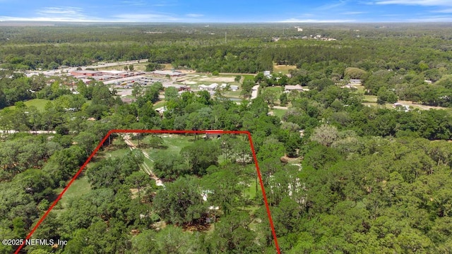 86290 Weldon Ave, Yulee, FL 32097