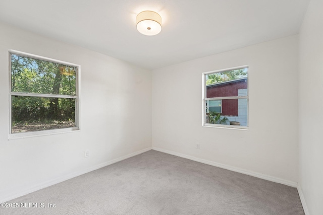 6918 Greenholly Dr, Jacksonville, FL 32277 - photo 21