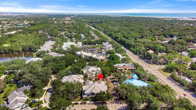 308 High Tide Dr Unit 201, Saint Augustine, FL 32080 - aerial view of residential area featuring a large body of water and a forest