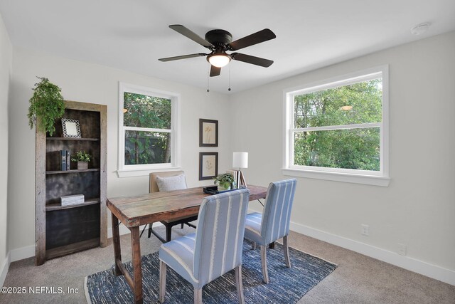 903 Ibis Rd, Jacksonville, FL 32216 - photo 27