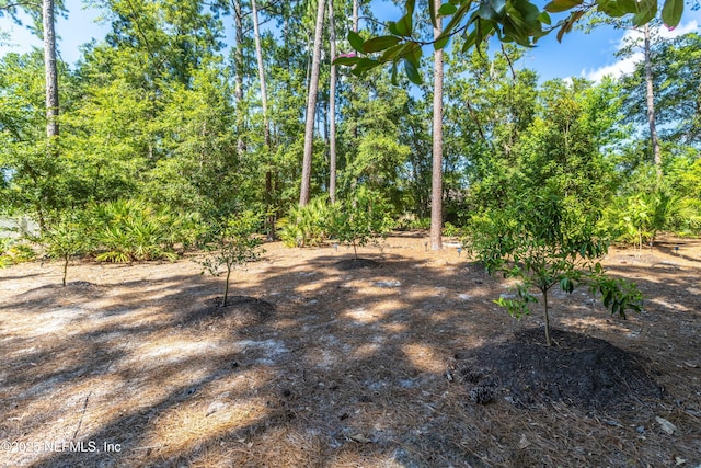 12245 Tracy Ann Rd, Jacksonville, FL 32223 - photo 40
