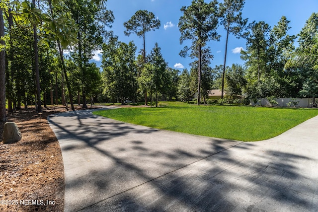 12245 Tracy Ann Rd, Jacksonville, FL 32223 - photo 56