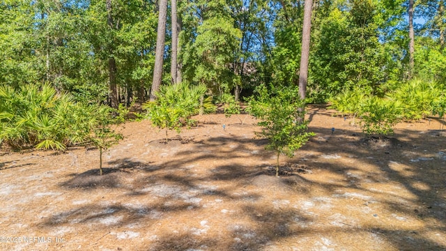 12245 Tracy Ann Rd, Jacksonville, FL 32223 - photo 51
