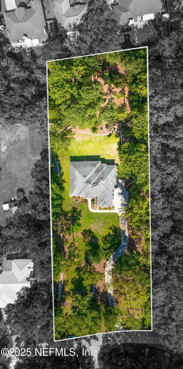 12245 Tracy Ann Rd, Jacksonville, FL 32223 - photo 2