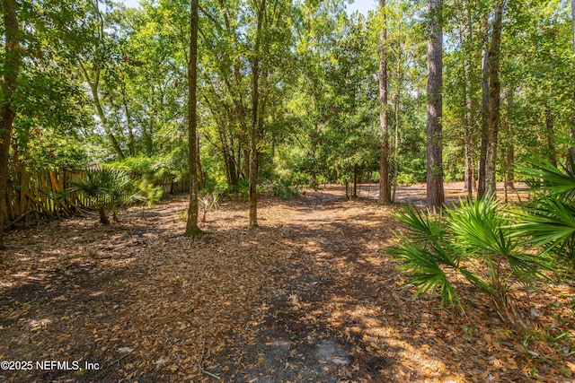12245 Tracy Ann Rd, Jacksonville, FL 32223 - photo 45