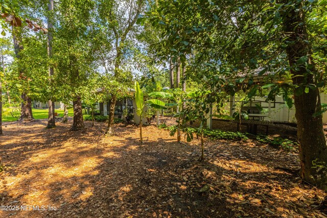 12245 Tracy Ann Rd, Jacksonville, FL 32223 - photo 43