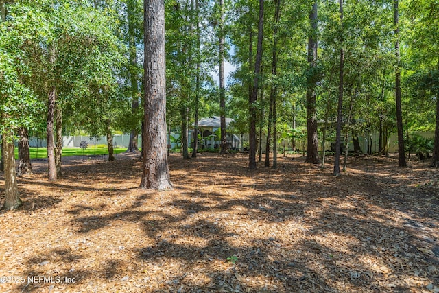 12245 Tracy Ann Rd, Jacksonville, FL 32223 - photo 47