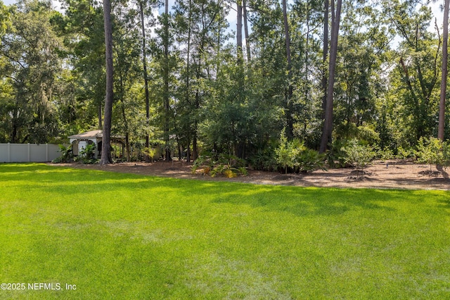 12245 Tracy Ann Rd, Jacksonville, FL 32223 - photo 52