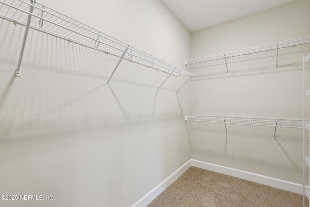 48 Gilchrist Way, Saint Johns, FL 32092 - spacious closet featuring carpet floors