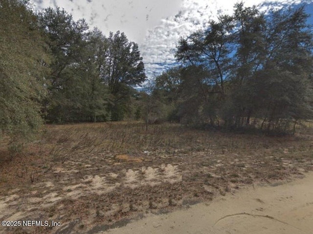 104 Carolyn Ave, Interlachen, FL 32148