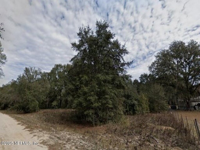 104 Carolyn Ave, Interlachen, FL 32148