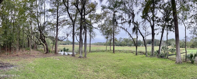 9672 Sibbald Rd, Jacksonville, FL 32208 - photo 6