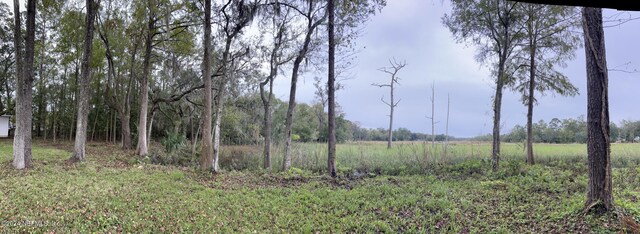 9672 Sibbald Rd, Jacksonville, FL 32208 - photo 45