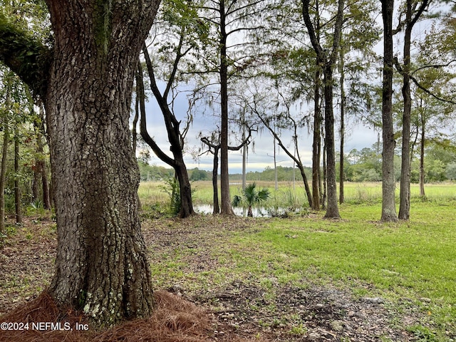 9672 Sibbald Rd, Jacksonville, FL 32208 - photo 57