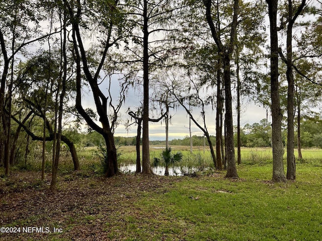 9672 Sibbald Rd, Jacksonville, FL 32208 - photo 58