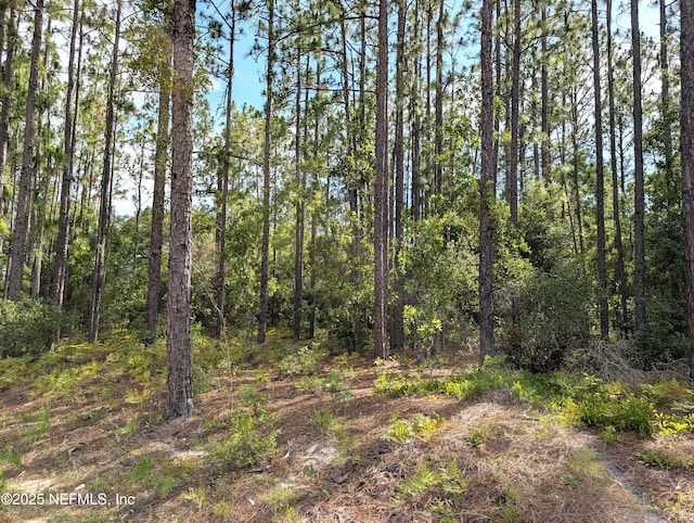 7676 Los Padres Ave, Keystone Heights, FL 32656