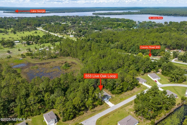 553 Live Oak Loop, Crescent City, FL 32112 - photo 33