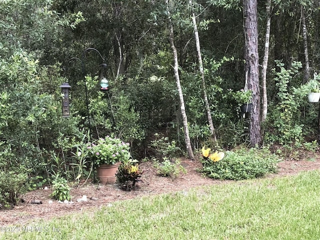 553 Live Oak Loop, Crescent City, FL 32112 - photo 29