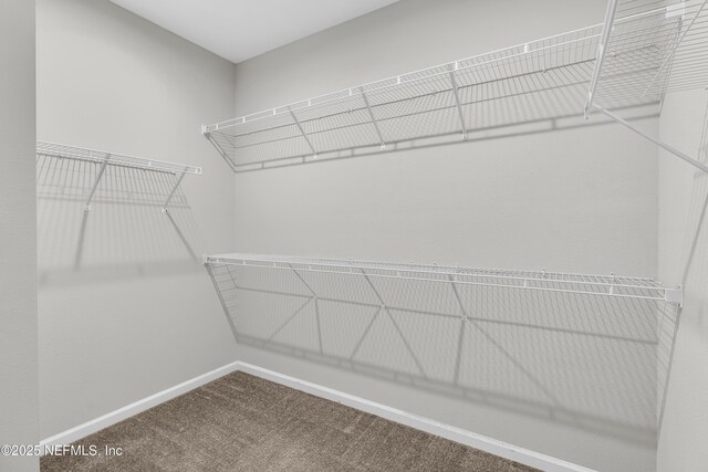 575 Buttonwood Loop, Yulee, FL 32097 - walk in closet featuring carpet flooring