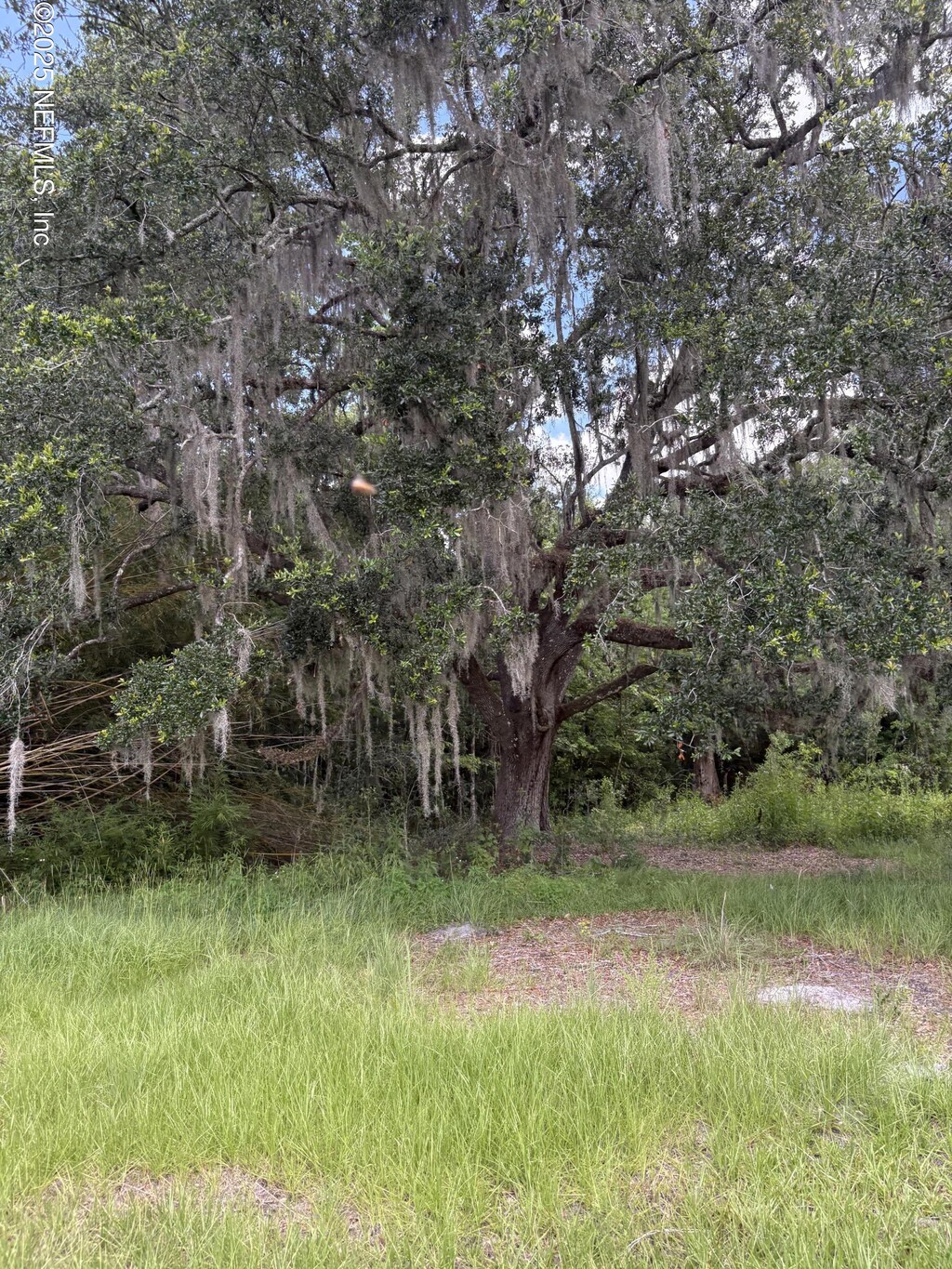 22438 NW 44th Ave, Lawtey, FL 32058 - photo 1