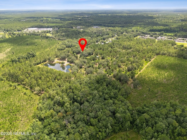 37334 Alice St, Hilliard, FL 32046 - photo 74