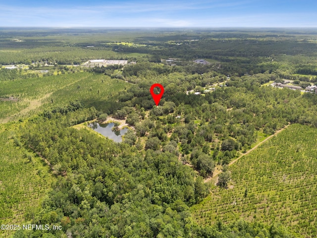 37334 Alice St, Hilliard, FL 32046 - photo 76