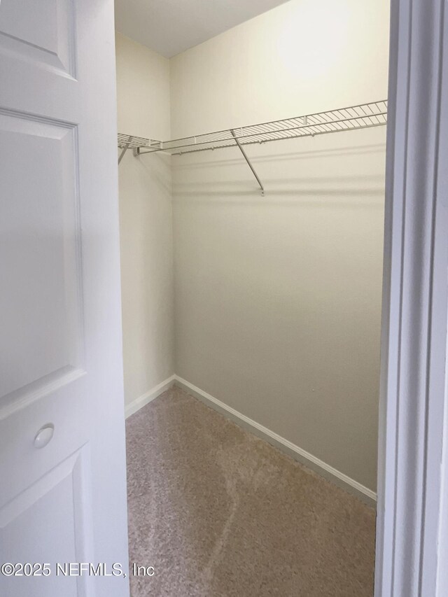 6848 Lake Mist Ln, Jacksonville, FL 32210 - photo 20