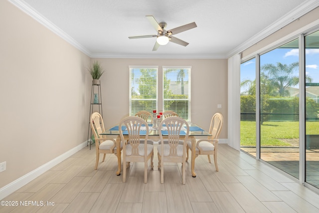 24 Latrobe Ave, Saint Augustine, FL 32095 - photo 16