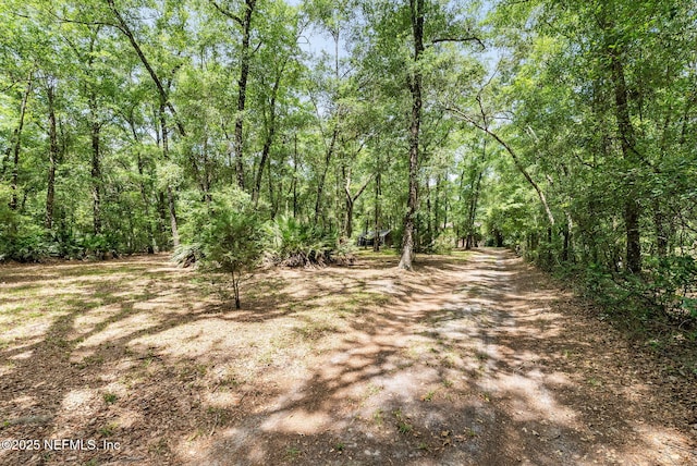 2960 Black Creek Dr, Middleburg, FL 32068 - photo 7