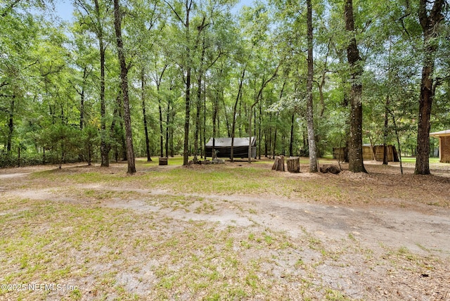 2960 Black Creek Dr, Middleburg, FL 32068 - photo 9