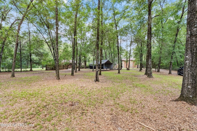 2960 Black Creek Dr, Middleburg, FL 32068 - photo 10
