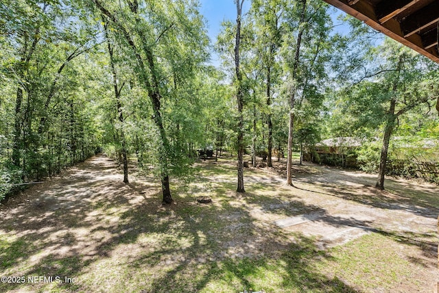 2960 Black Creek Dr, Middleburg, FL 32068 - photo 54