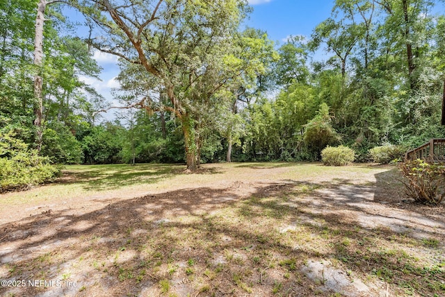 2960 Black Creek Dr, Middleburg, FL 32068 - photo 56