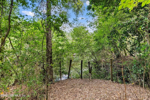 2960 Black Creek Dr, Middleburg, FL 32068 - photo 4